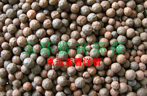 ZH生物濾池多密孔球型濾料